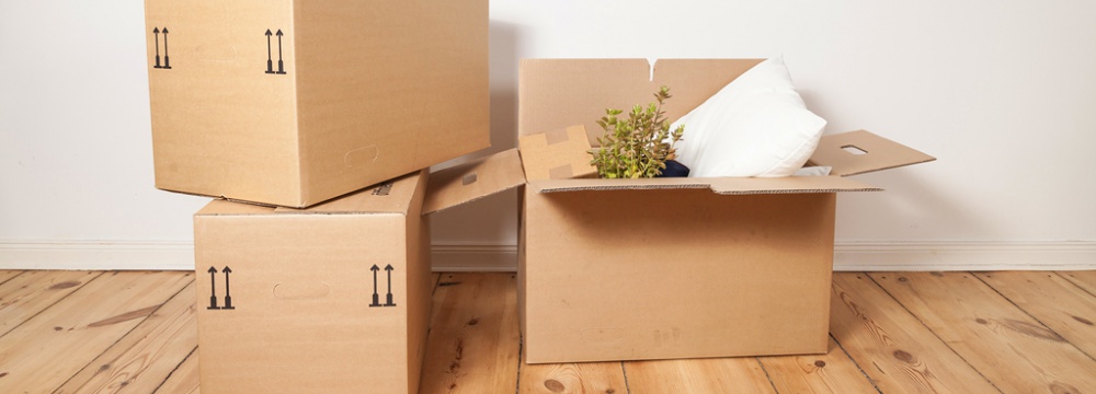 Removal Services